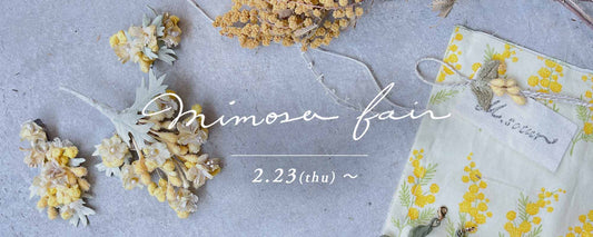 mimosa fair