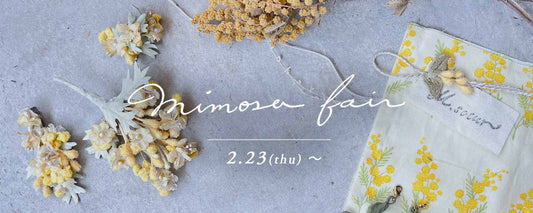 mimosa fair