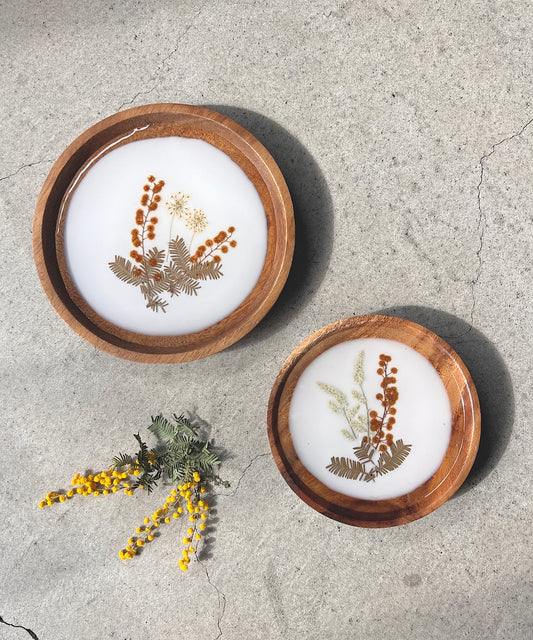 ミモザの押し花プレート " white "