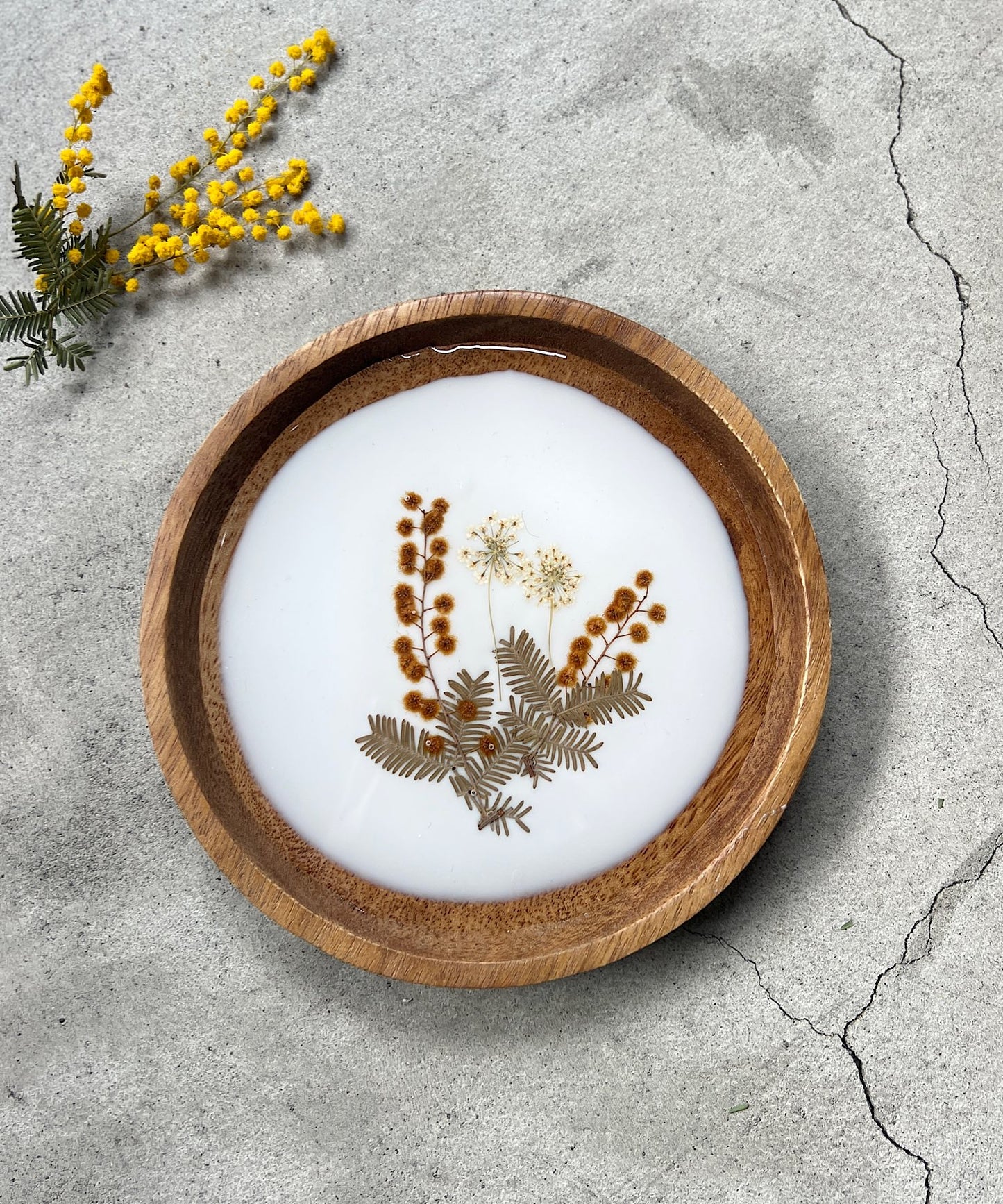 ミモザの押し花プレート " white "