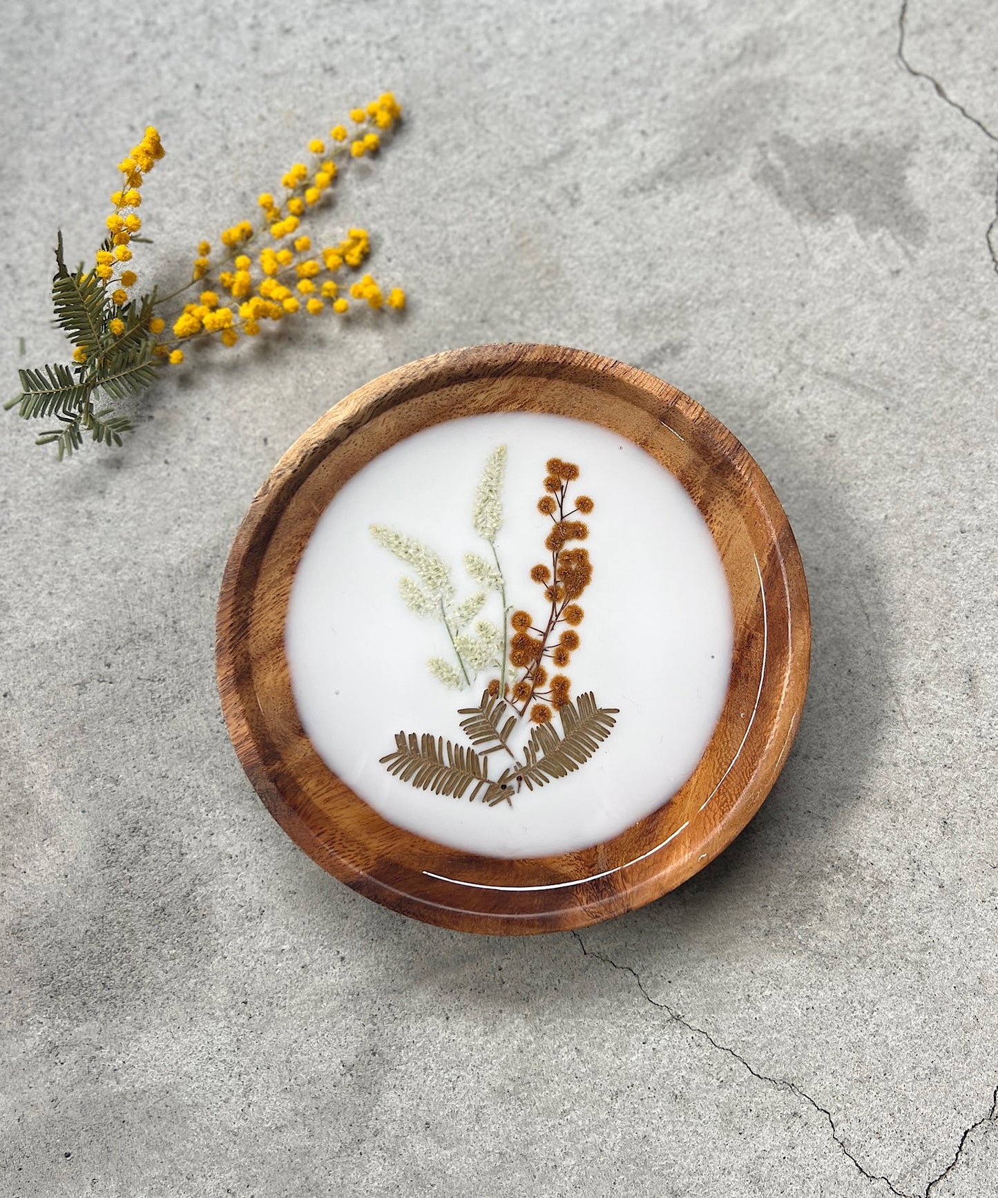 ミモザの押し花プレート " white "