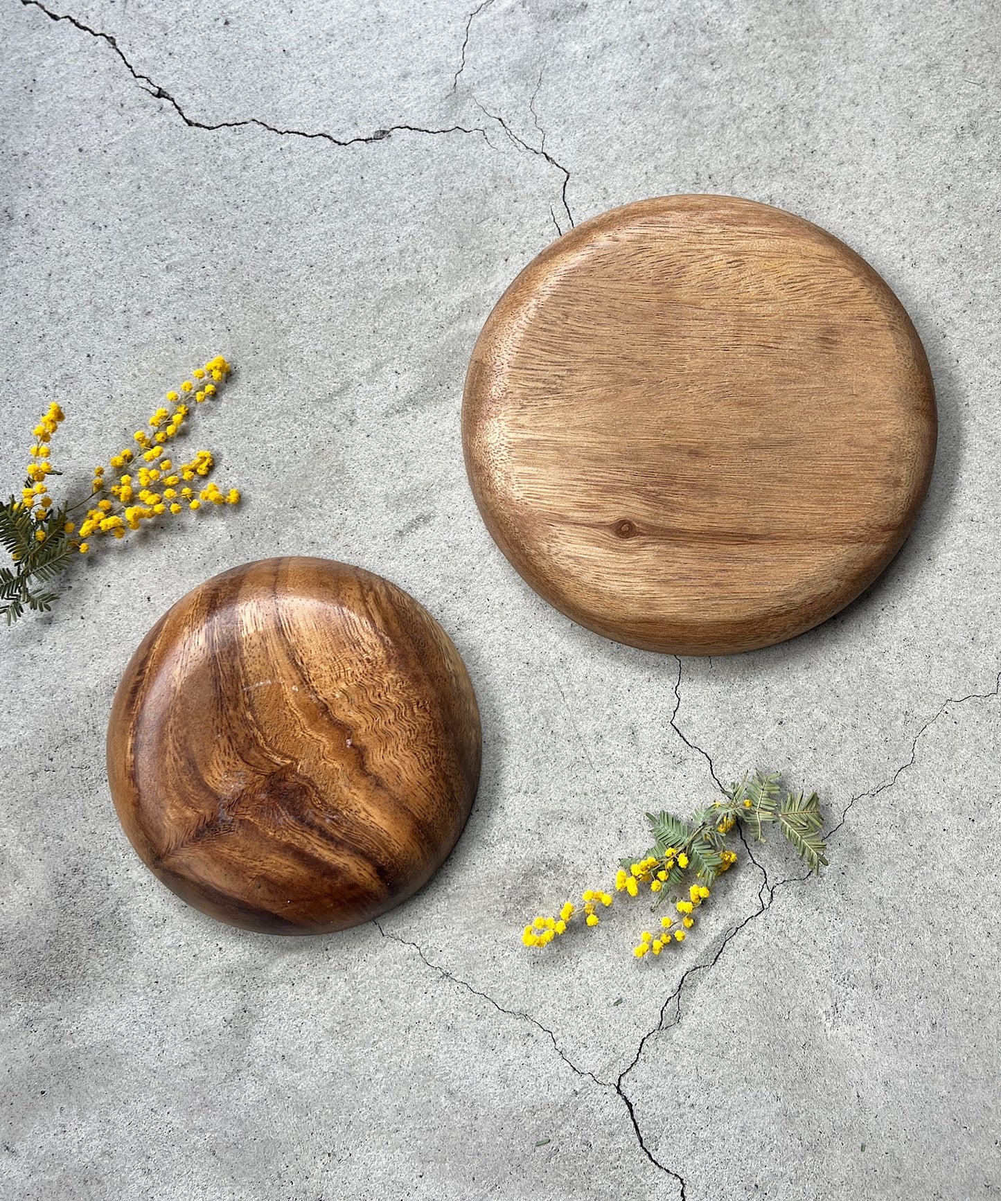 ミモザの押し花プレート " white "