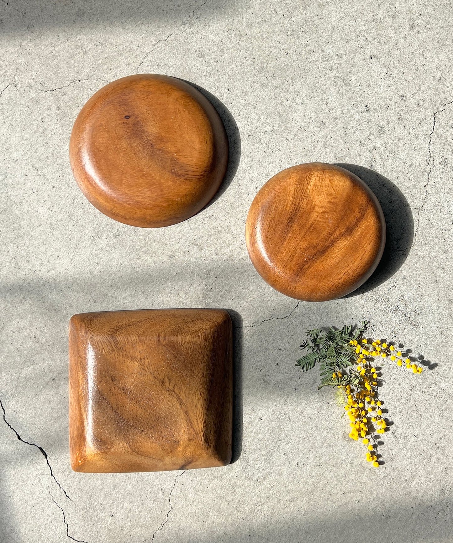 ミモザの押し花プレート " black "