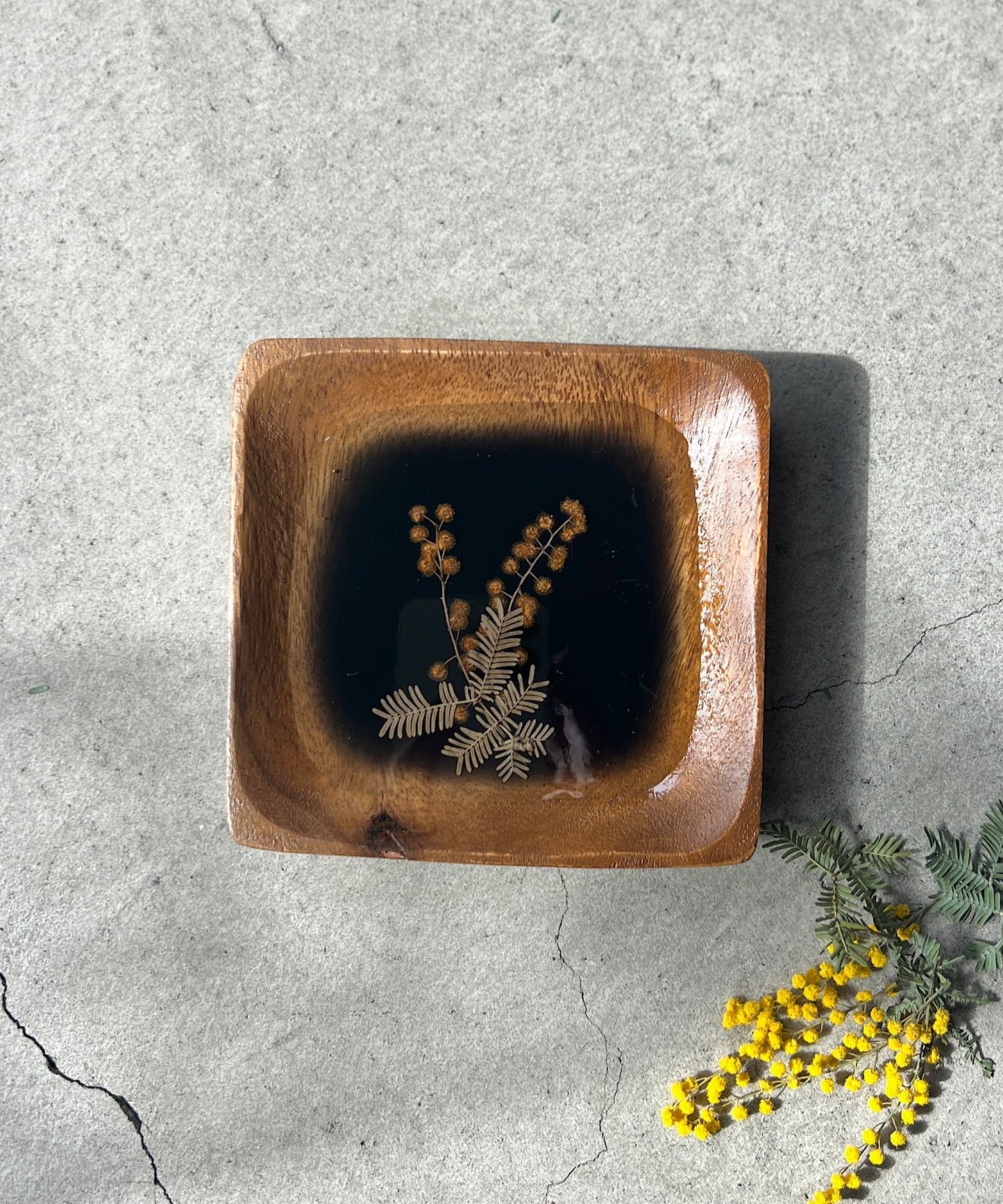 ミモザの押し花プレート " black "