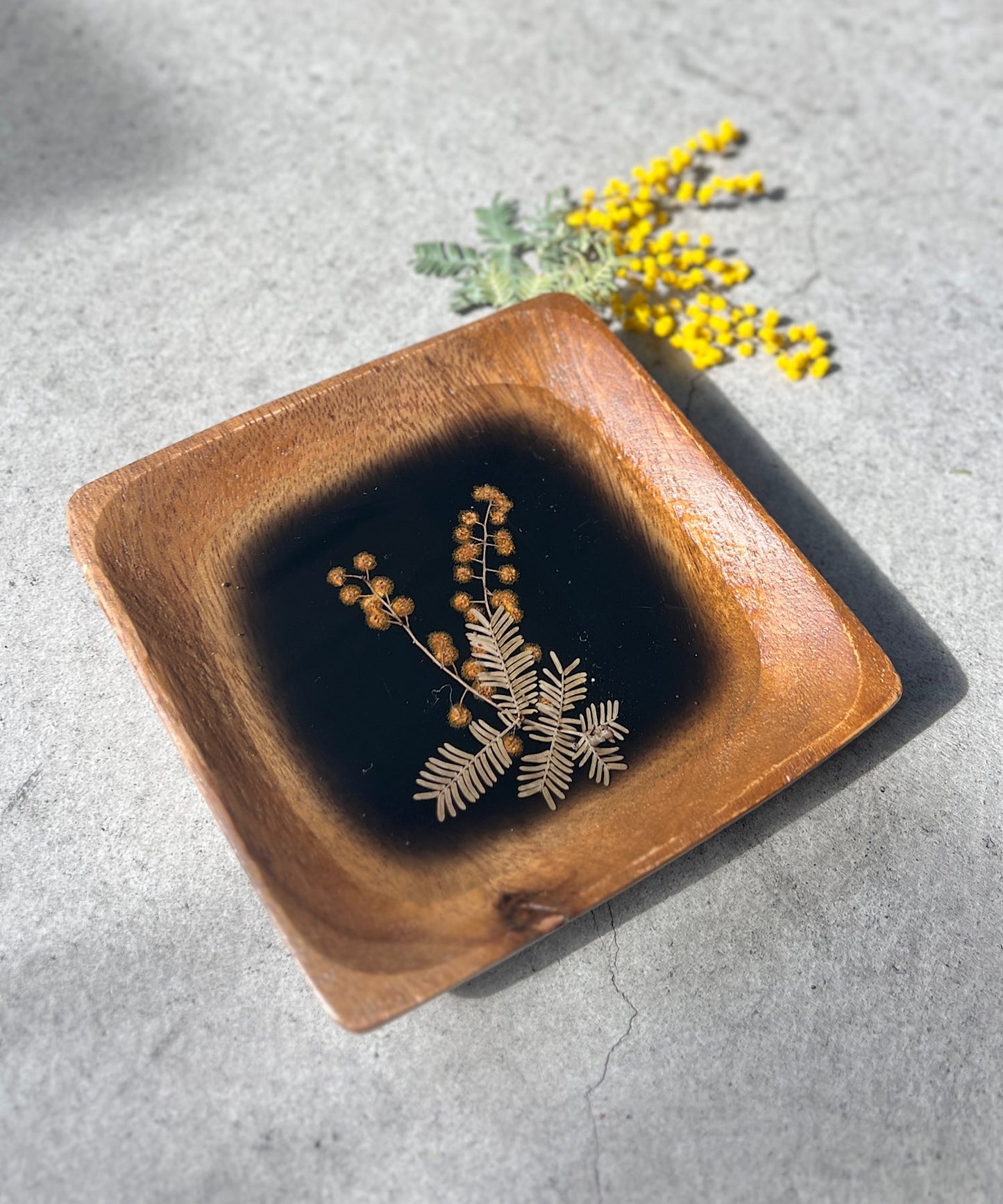 ミモザの押し花プレート " black "