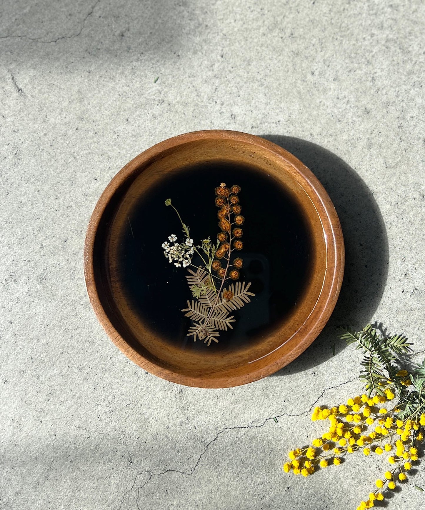 ミモザの押し花プレート " black "